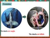 人教新目标版英语九下Unit 13 《We're trying to save the earth.》Section A 3a-3c 阅读课件+音视频素材