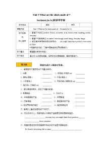 初中英语人教新目标 (Go for it) 版九年级全册Section A学案