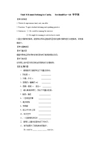 初中英语人教新目标 (Go for it) 版九年级全册Section B学案