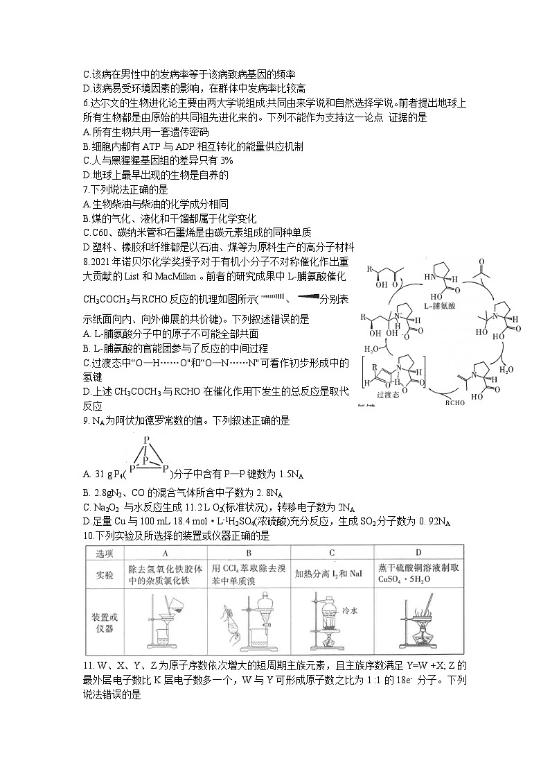 云南省昆明市第一中学2021-2022学年高三上学期第四次联考理科综合试题（Word版含答案）第2页
