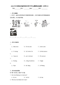 2023年甘肃省武威市凉州区中考五模英语试题（含解析）