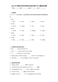 2023年甘肃省平凉市华亭市皇甫学校中考三模英语试题（含解析）