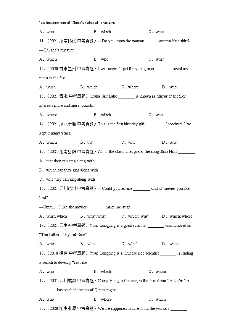 中考英语三轮冲刺训练专题01 定语从句（含解析）第2页