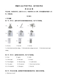 甘肃省武威市2020年中考英语试题（含解析）