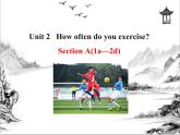 Unit 2  How often do you exercise Section A 课件 2023-2024学年人教版八年级英语上册