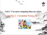 Unit 3  I’m more outgoing than my sister Section A 课件 2023-2024学年人教版八年级英语上册