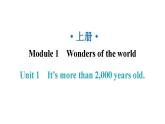 外研版九年级英语上册Module1 Unit1　It's more than 2,000 years old.课件