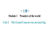 外研版九年級英語上冊Module1 Unit2 The Grand Canyon was not just big.課件
