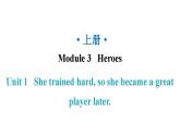 外研版九年級英語上冊Module3 Unit1教學(xué)課件