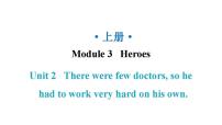 初中英语外研版 (新标准)九年级上册Unit 2There were few doctors, so he had to work very hard on his own.教学课件ppt