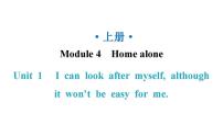 初中英语外研版 (新标准)九年级上册Unit 1 I can look after myself, although it won’t be easy for me.教学课件ppt