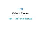 外研版九年級英語上冊Module5 Unit1教學(xué)課件