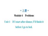 外研版九年級英語上冊Module6 Unit1教學(xué)課件