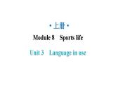 外研版九年級(jí)英語上冊(cè)Module8 Unit3教學(xué)課件