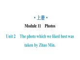 外研版九年级英语上册Module11 Unit2教学课件