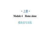 外研版九年级英语上册Module4模块读写训练教学课件