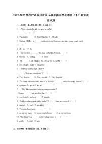 2022-2023学年广西钦州市灵山县那隆中学七年级（下）期末英语试卷（含解析）