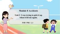 外研版 (新标准)八年级上册Module 8 AccidentsUnit 2 I was trying to pick it up when it bite me again.教学ppt课件