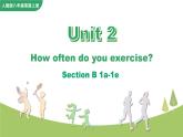 Unit 2 Section B 1a-1e 人教英语七上【课件+教案】