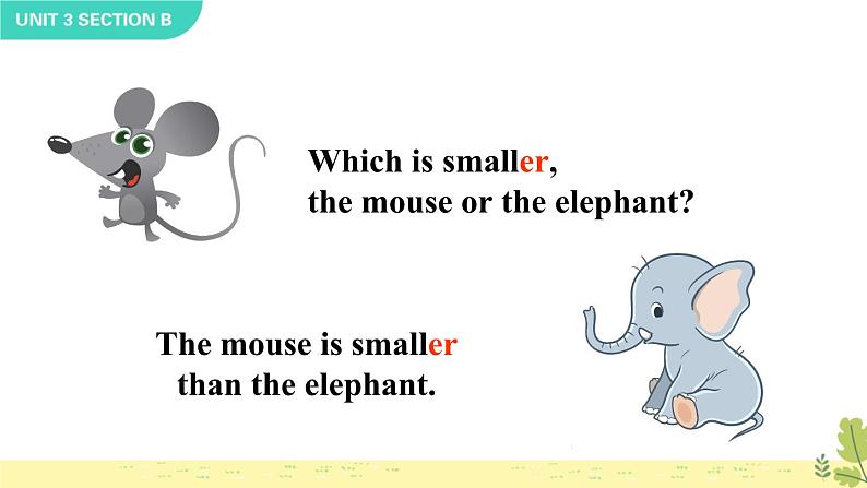 Unit 3 Section B 2a-2e 人教英语七上【课件+教案】05