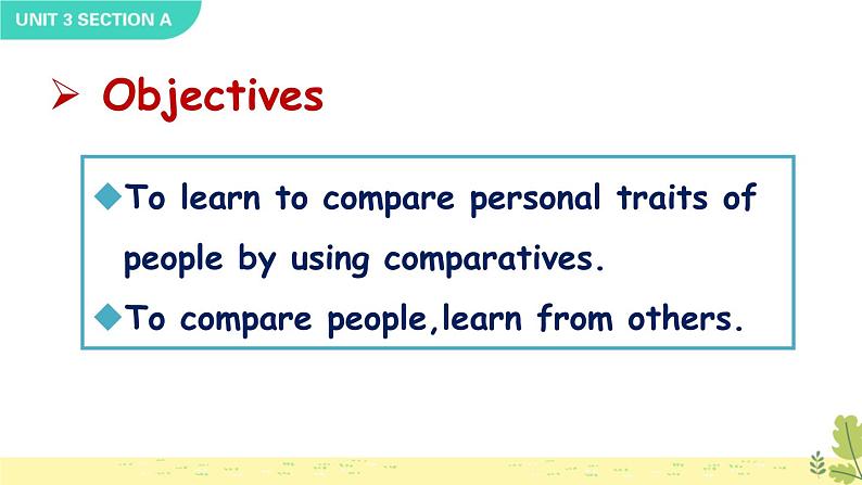 Unit 3 Section A Grammar Focus-3c 人教英语七上【课件+教案】02