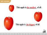 Unit 4 Section B 1a-1e 人教英语八上【课件+教案】