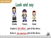 Unit 4 Section B 1a-1e 人教英语八上【课件+教案】