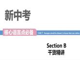 Unit 7 Teenagers should be allowed to choose their own clothes  Section B词汇精讲  - 九年级全册英语（人教版）课件PPT