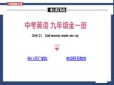 Unit 11 Sad movies make me cry  Section B 词汇精讲 九年级全册英语（人教版）课件PPT