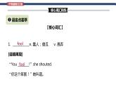Unit 12 Life is full of the unexpected  Section B词汇精讲 九年级全册英语人教版）课件PPT