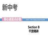 Unit 13 We’re trying to save the earth  Section B词汇精讲 九年级全册英语（人教版）课件PPT