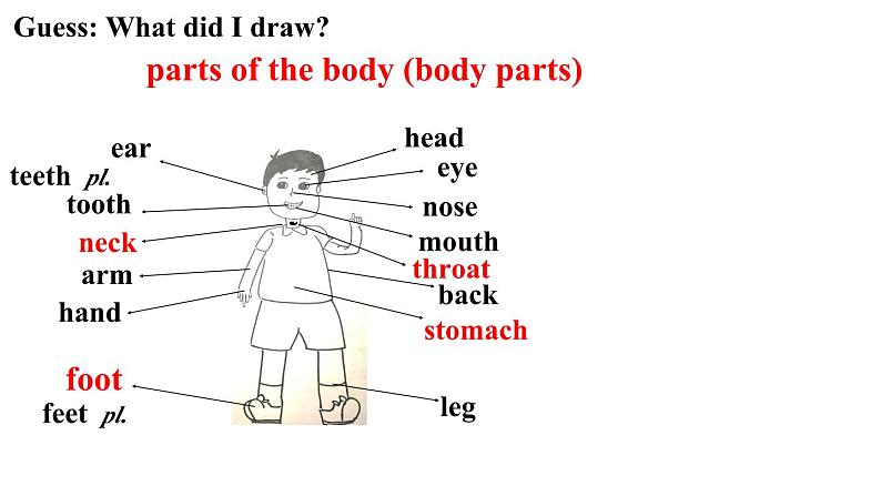 Unit 1 What's the matter Section A 1a-2a课件PPT02