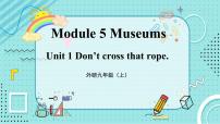 初中英语外研版 (新标准)九年级上册Unit 1 Don’t cross that rope!教学ppt课件