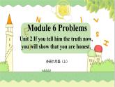 外研九上Module 6 Problems  Unit 2 【教學(xué)課件+教案】