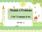 外研九上Module 6 Problems  Unit 3 【教学课件+教案】