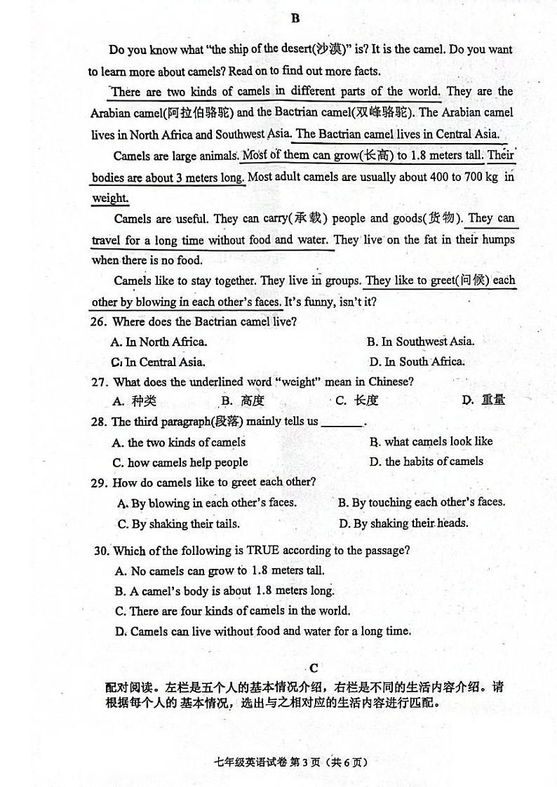 广东省珠海市文园中学2023-2024学年七年级上学期10月月考英语试题第3页