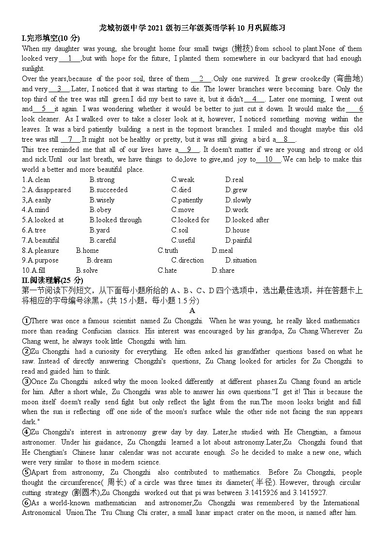 广东省深圳市龙岗区龙城高级中学（教育集团）龙城初级中学2023-2024学年九年级上学期10月月考英语试卷01
