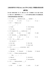 云南省普洱市宁洱县2022-2023学年七年级上学期期末英语试卷