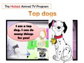 牛津版上海（試用本）七年級英語上冊 Module 1 Relationships  Unit 2 Our animal friends  課件1