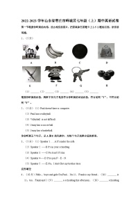 2022-2023学年山东省枣庄市峄城区七年级上学期期中英语试卷（含答案解析）