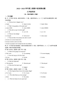 河南省驻马店市汝南县2022-2023学年九年级上学期期中英语试题