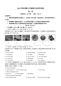 广西壮族自治区玉林市2022-2023学年九年级上学期期中英语试题