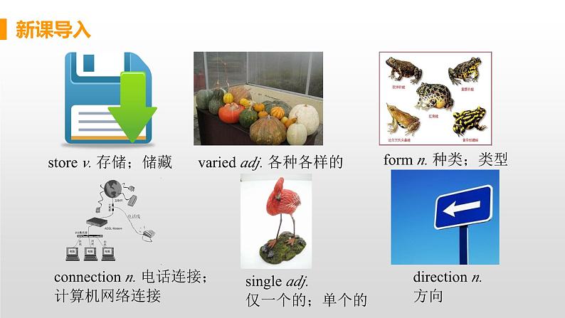 M9 Unit 2 Will books be replaced by the Internet-初中英语外研版九年级上册课件第6页