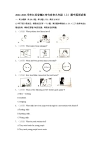 2022-2023学年江苏省镇江市句容市九年级上学期期中英语试卷（含答案解析）