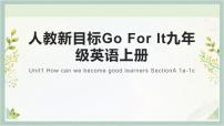 人教新目标 (Go for it) 版九年级全册Section A完整版ppt课件
