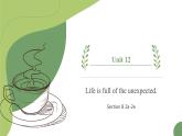 【核心素养目标】人教版初中英语九年级全册 Unit 12 Life is full of the unexpected Section B 2a-2e课件+教案+同步练习（含反思和答案）