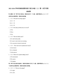 河南省洛阳市洛宁县2023-2024学年九年级上学期10月月考英语试题