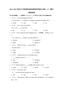 2022-2023学年辽宁省沈阳市南昌新世界学校九年级上学期期中英语试卷（含答案解析）
