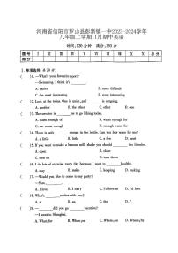 河南省信阳市罗山县彭新镇一中2023-2024学年八年级上学期11月期中英语试题