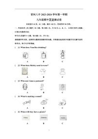 广东省雷州市第八中学2023-2024学年九年级上学期期中考试英语试题